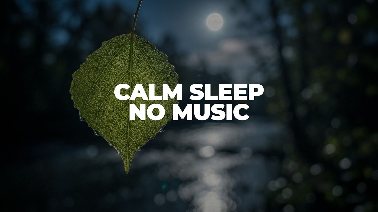 Relaxing Sleep ASMR | Night River Ambience | 3 Hours | No Music