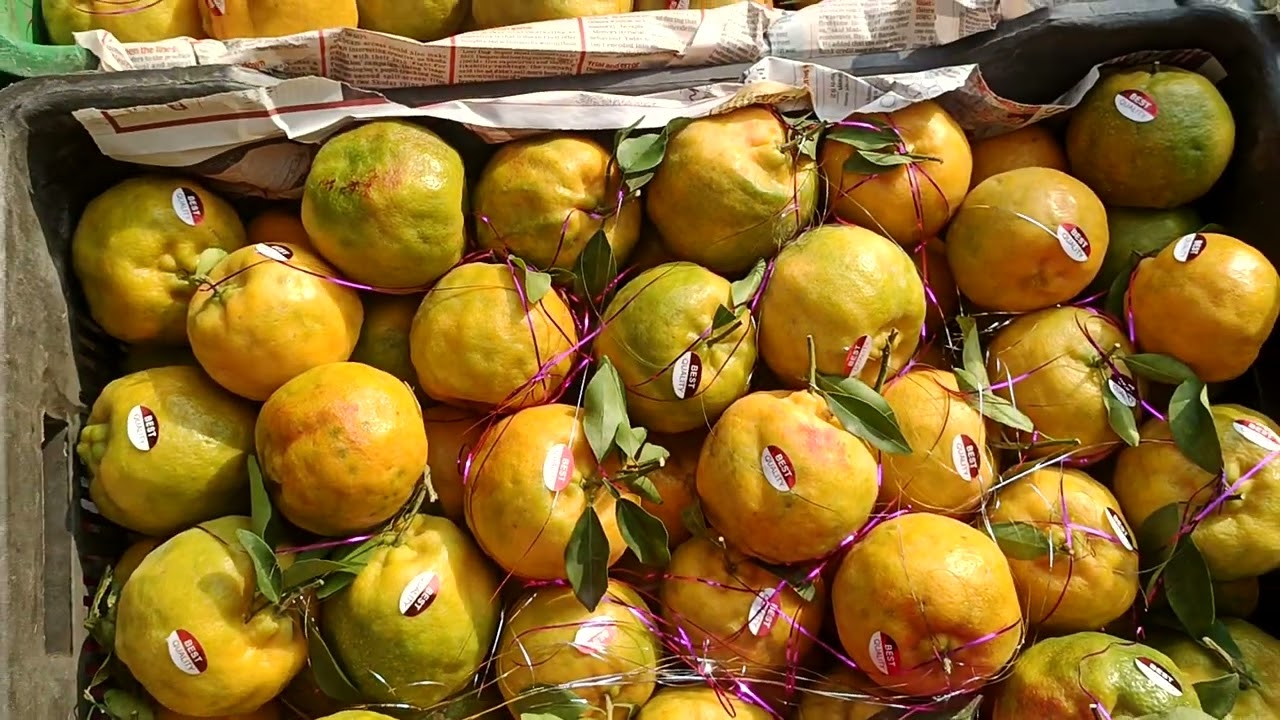 #today 20 January 2026 #live Auction Orange 🍊 #batasingaramfruitmarket