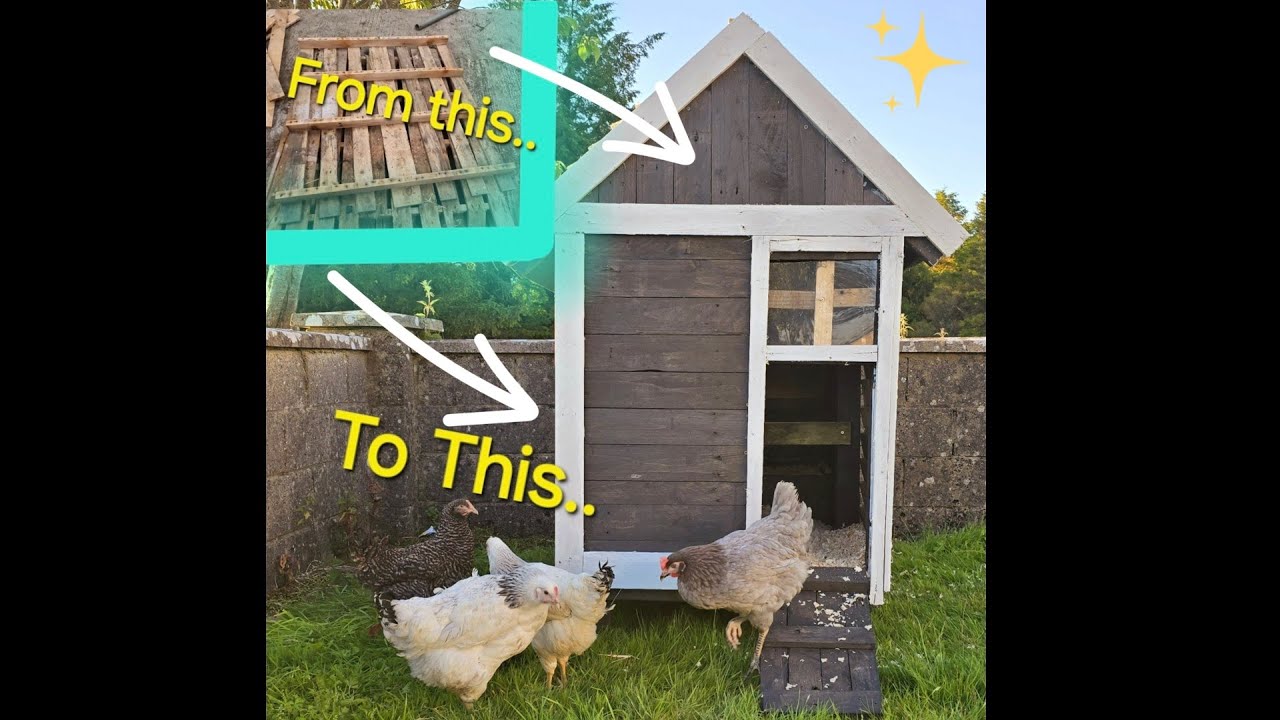 TURNING OLD PALLETS INTO A CHICKEN PALACE 🐔🥚 #chicken #chickencoop