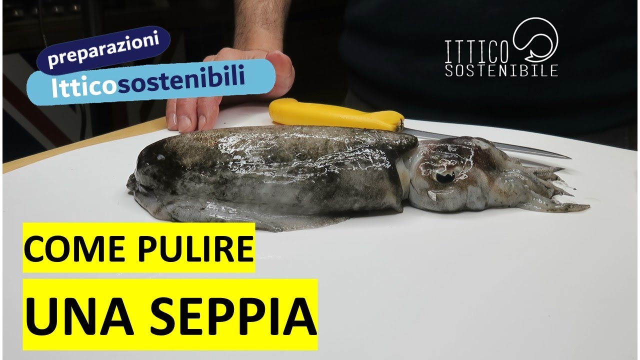 Come pulire una seppia (guida completa)