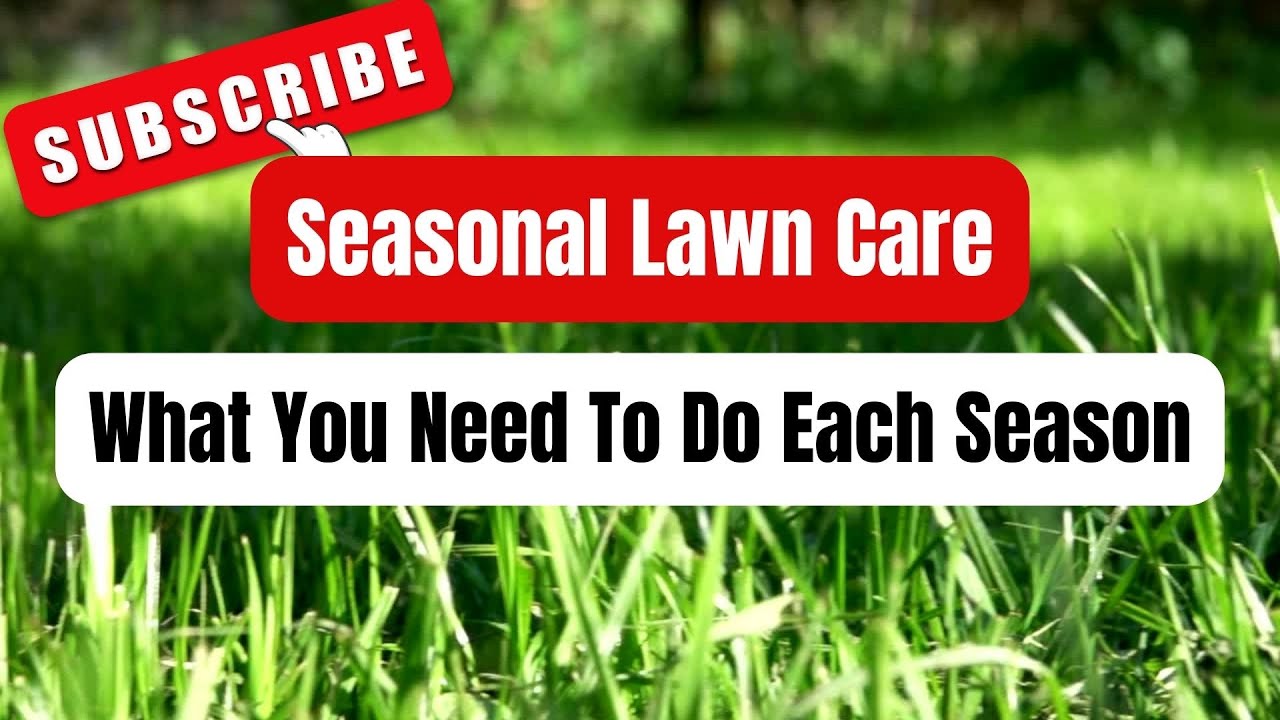 Seasonal Lawn Care: What You Need to Do Each Season