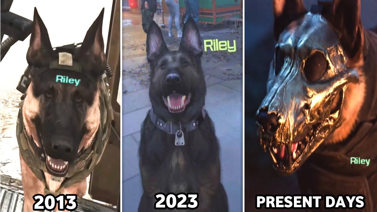ЛУЧШЕЕ ИЗ РАЙЛИ: Хороший песик и его эволюция во всех играх COD..(2013-2024)