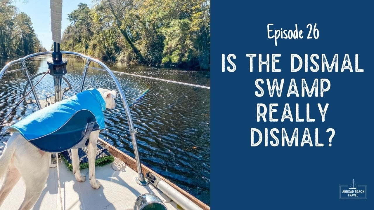Is the Dismal Swamp Really DISMAL? | Episode 26 Sailing Ecola