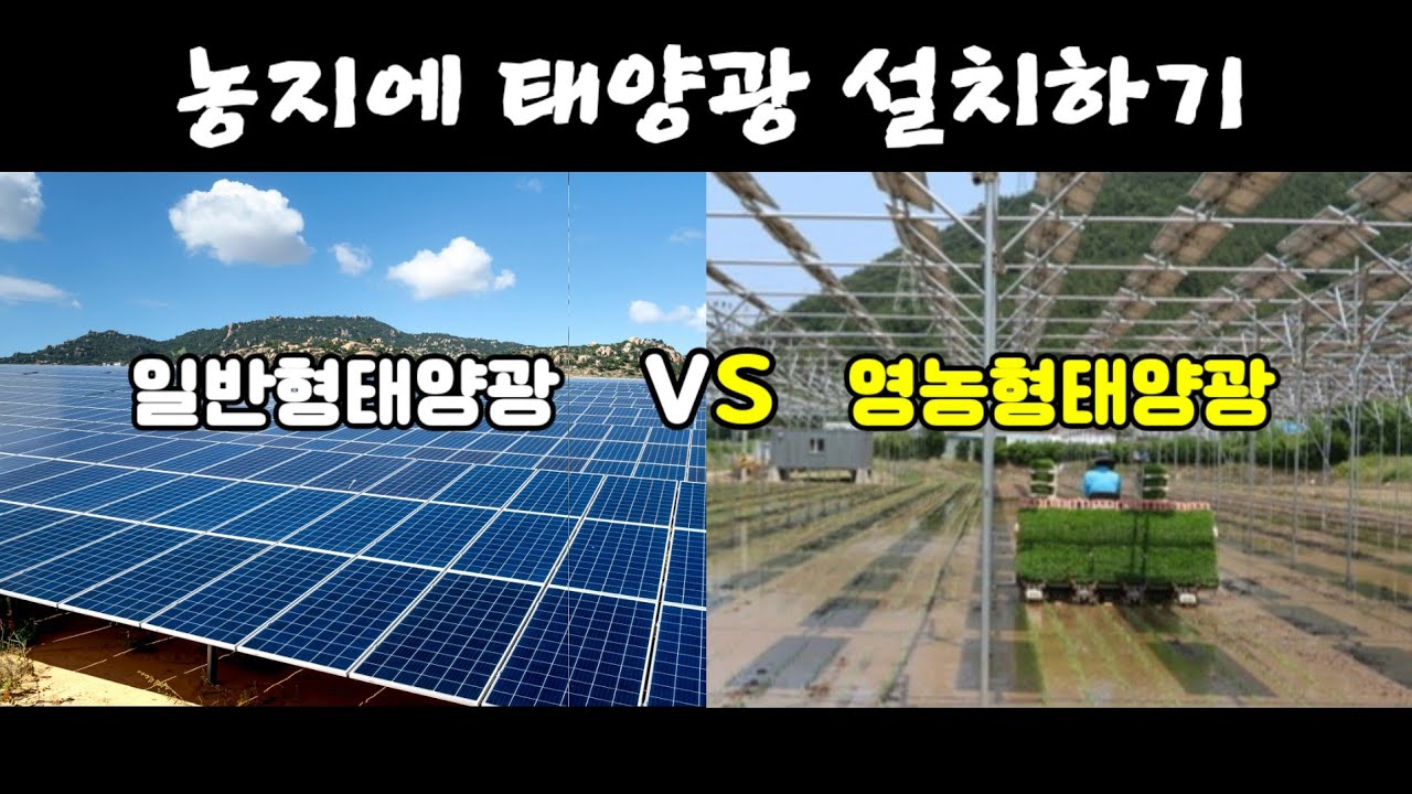 일반형태양광 Vs 영농형태양광