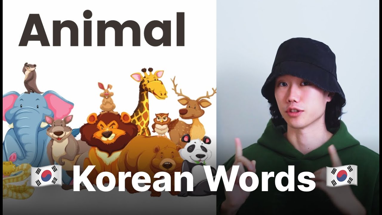🇰🇷 Basic Vocabulary - 🐈Animal🐇 | Essential Words for Beginners