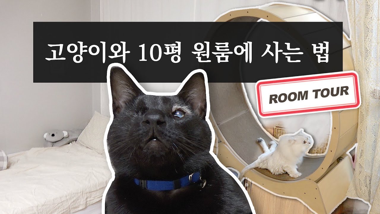 4 кошачьих башни в небольшом доме. Украсьте небольшой дом с четырьмя кошками