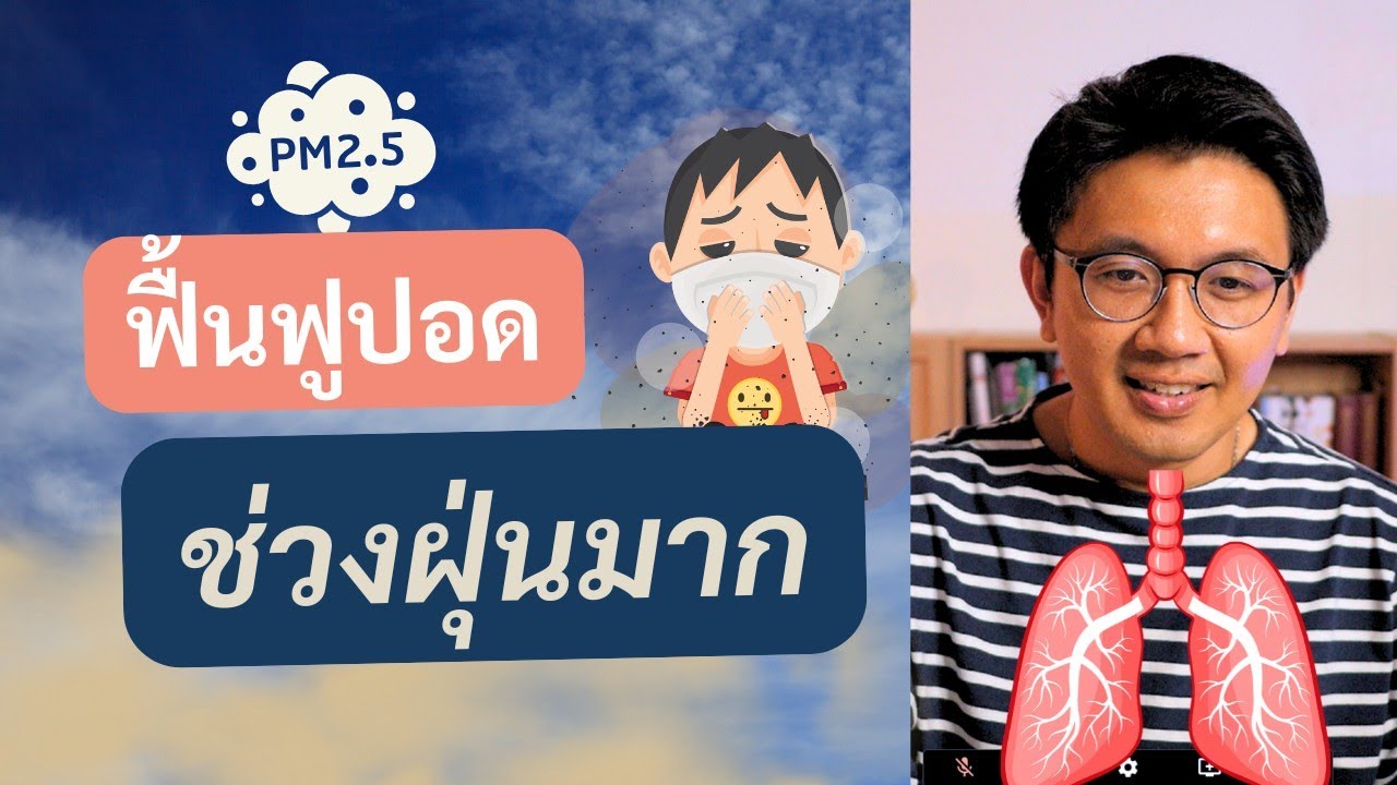 เมื่อมีฝุ่นมาก ดูแล 