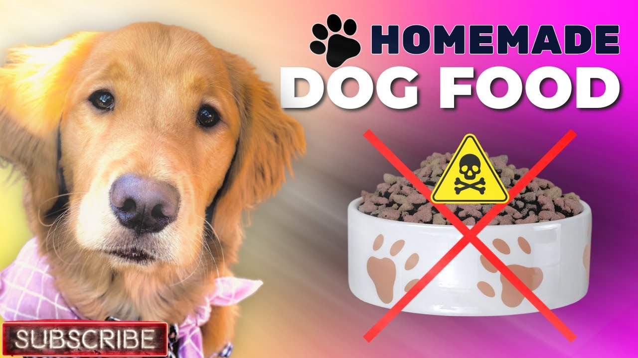 Этот рецепт СПАС здоровье нашей собаки!