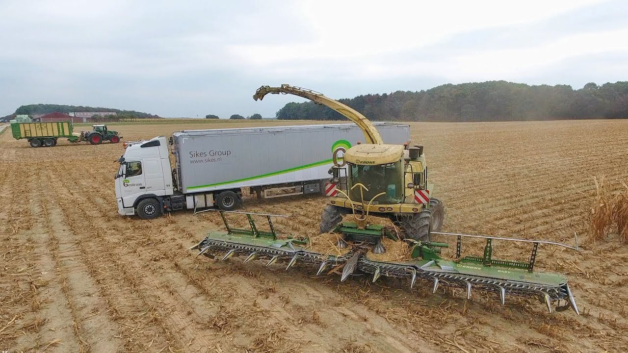 Krone big X1100 14 rows | XXL | mais hakselen | maishäckseln | Chopping Corn Silage