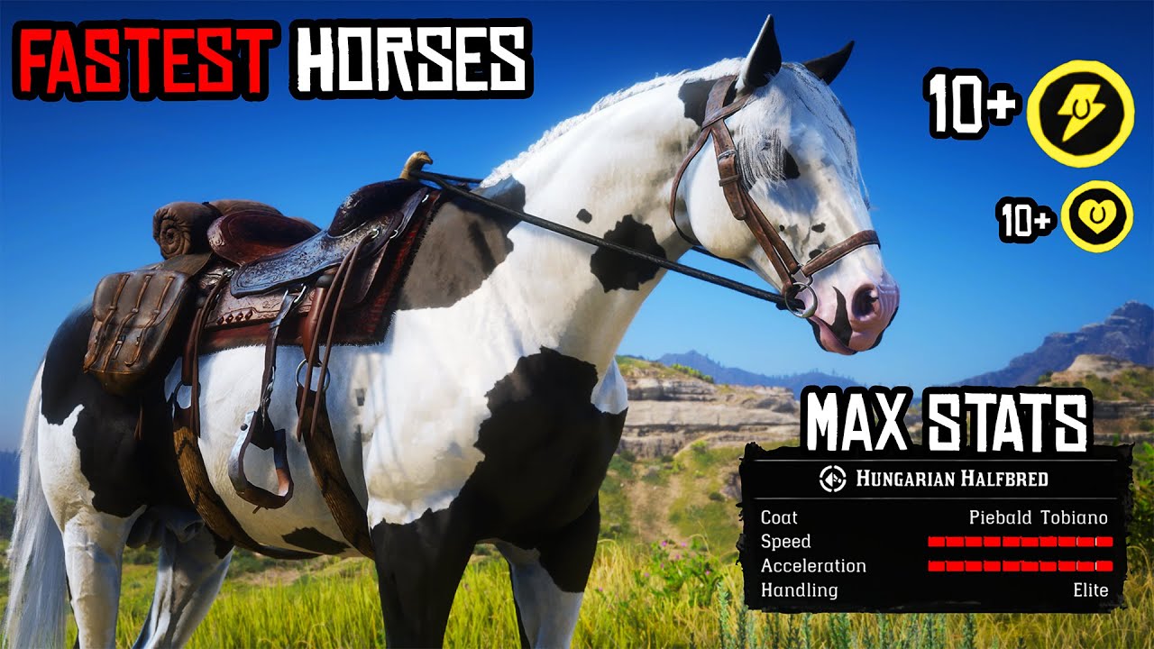 TOP 10 FASTEST HORSES IN RED DEAD REDEMPTION 2 ONLINE