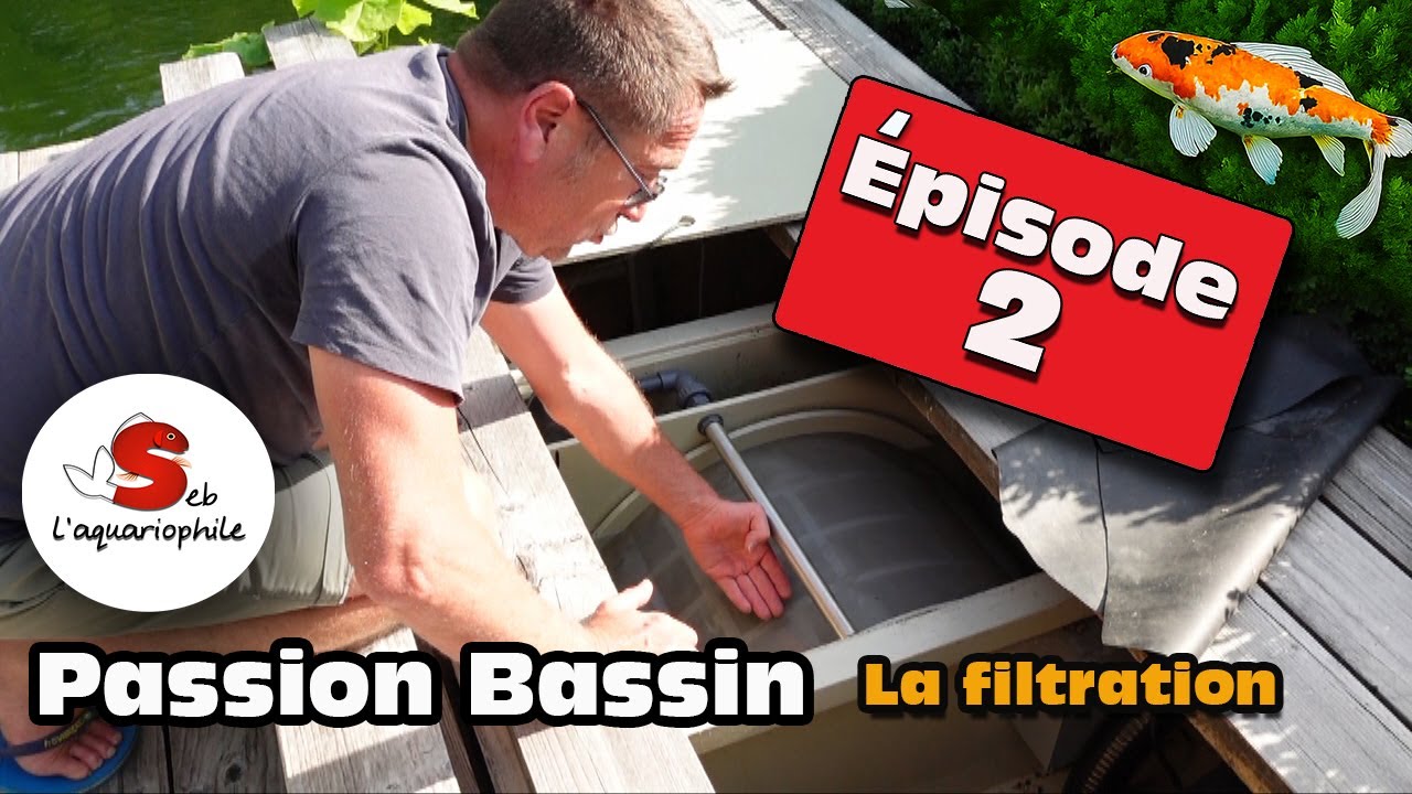 🎥 Visite du bassin à Koï de 31 m³ construit de A à Z par Emmanuel Épisode 2 