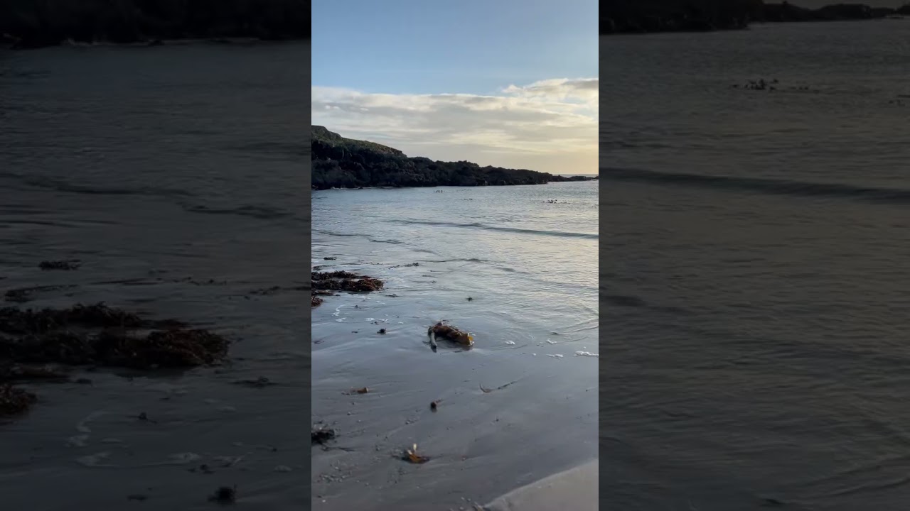 Cable Bay at Sunset