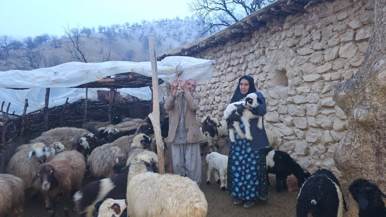 The true story of two elderly people alone in the mountains | The harsh life of nomads