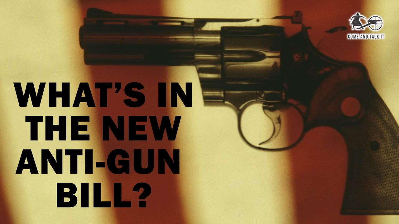 What's in the New Gun Bill?