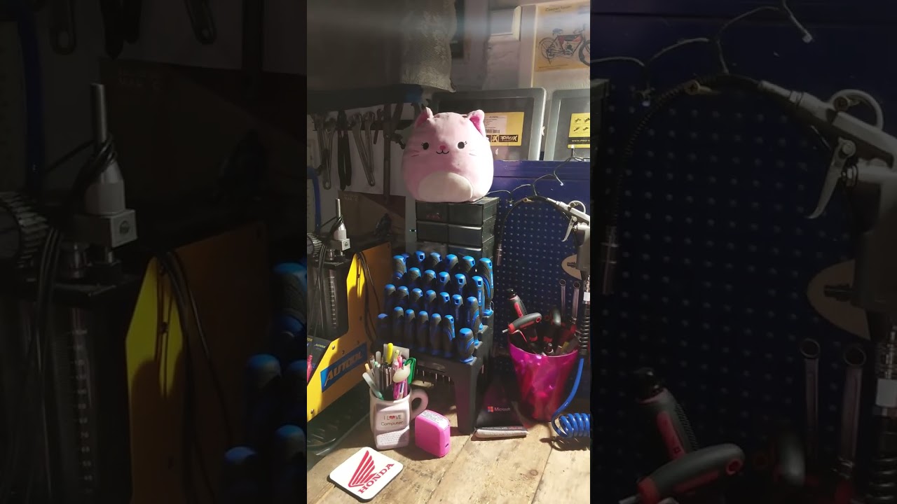 Pink motorkerékpár szerviz-Beszélgetés, téli tervek