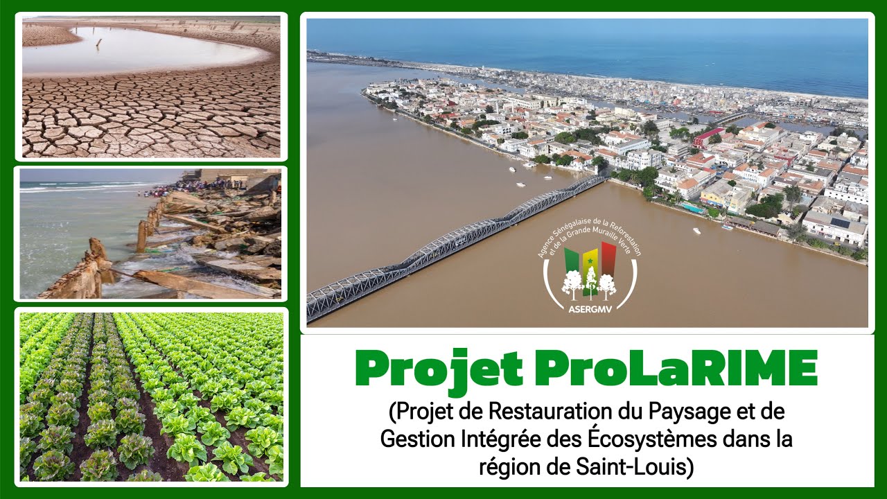 Atelier de restitution et de validation du Projet ProLaRIME