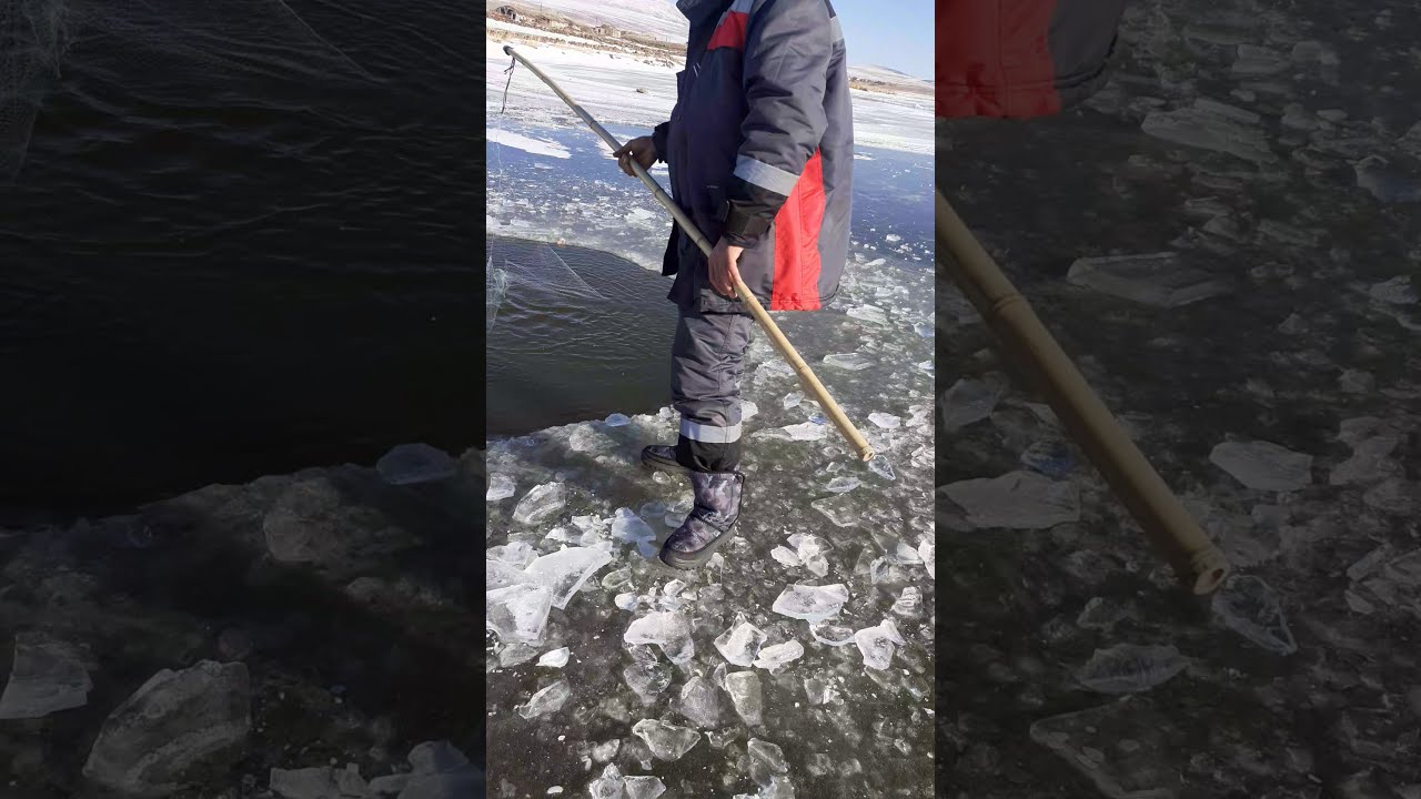Рыбалка в Грузии  озеро Парвана