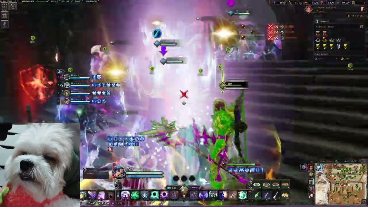 Throne and Liberty | 01/25 Interserver Siege JP - Titanspine vs Dragaryle
