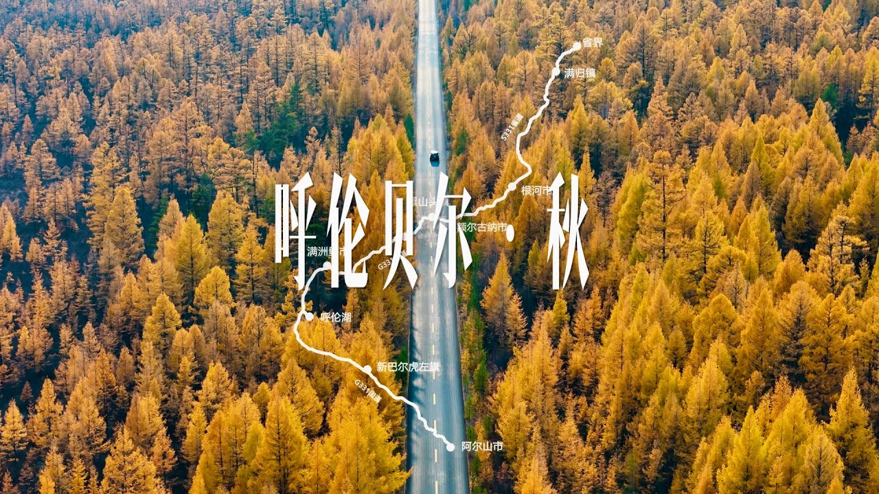 森林与草原的金色交响，呼伦贝尔秋日自驾