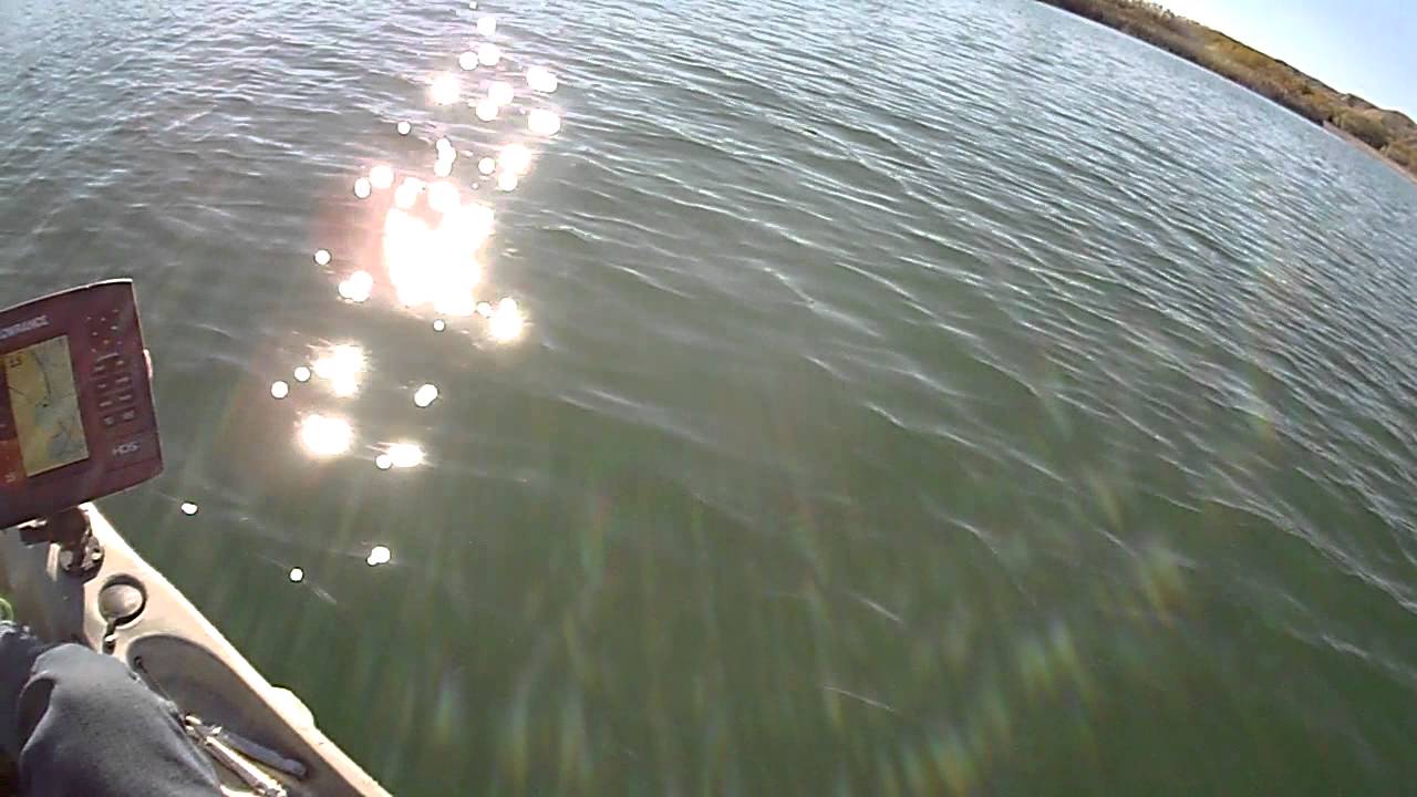 Havasu fishing 5