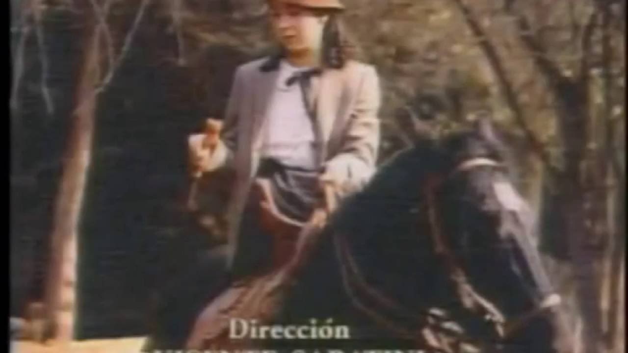 MINISERIE 1989 SANTA TERESA DE LOS ANDES