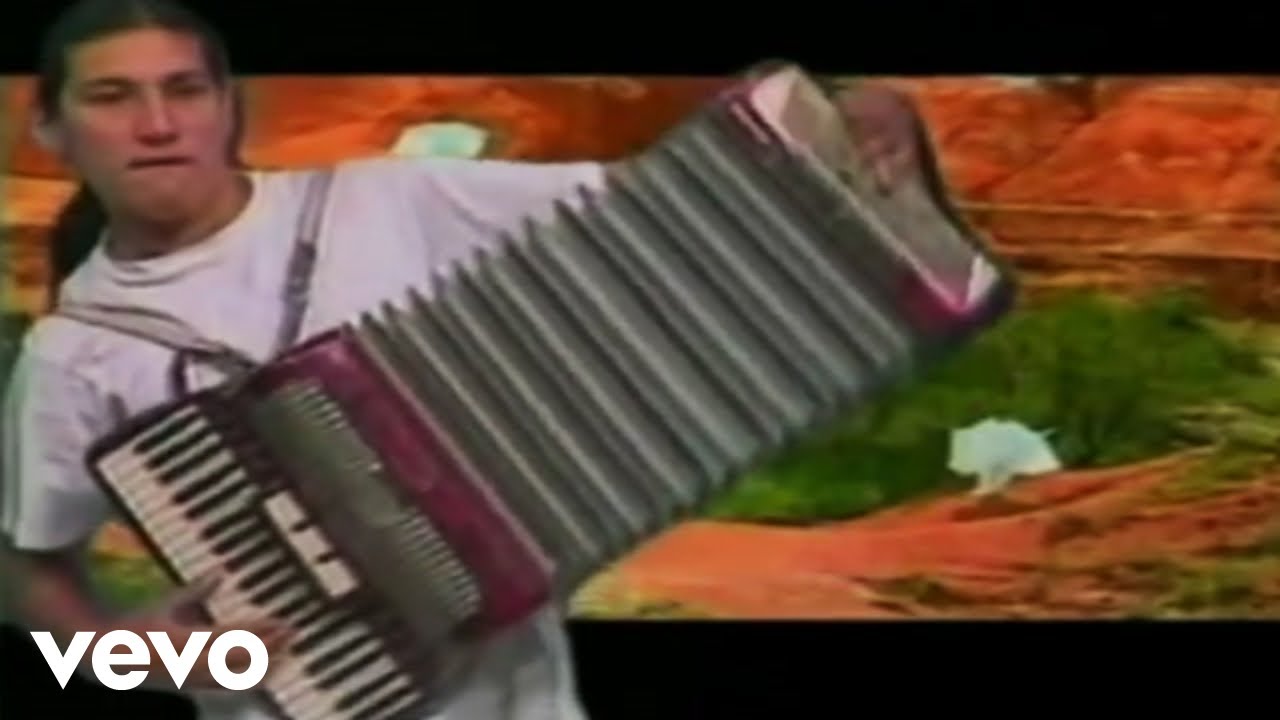 Grupo Mojado - Motivos