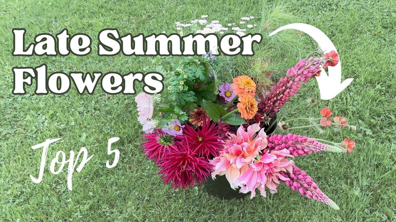 My top 5 Must-Have Cut Flowers for Late Summer Flowers (or early autumn)