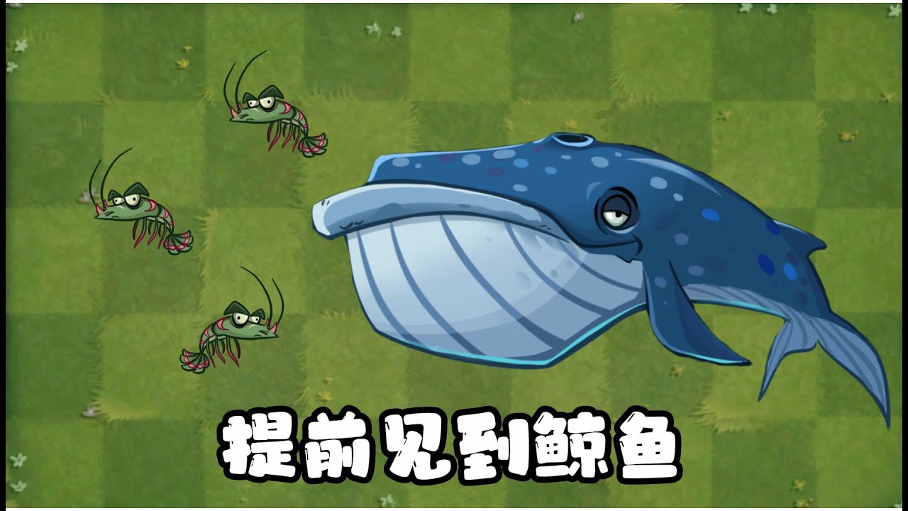 海底世界第二部分，我们提前见到了鲸鱼？