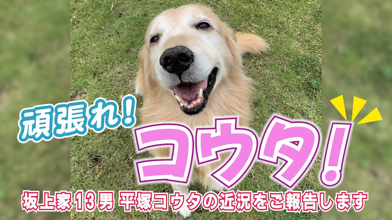 コウタ、頑張れ！〜闘病中の坂上家13男 平塚コウタの近況〜