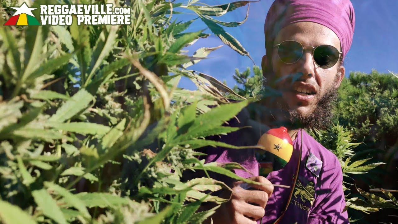 Ras Cup & Good Over Evil - Legalize Marijuana [Official Video 2022]