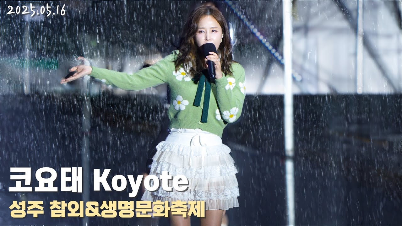 [4K/60p] 코요태(Koyote) - ☔️폭우 속에서 성주참외&생명문화축제 / 250516