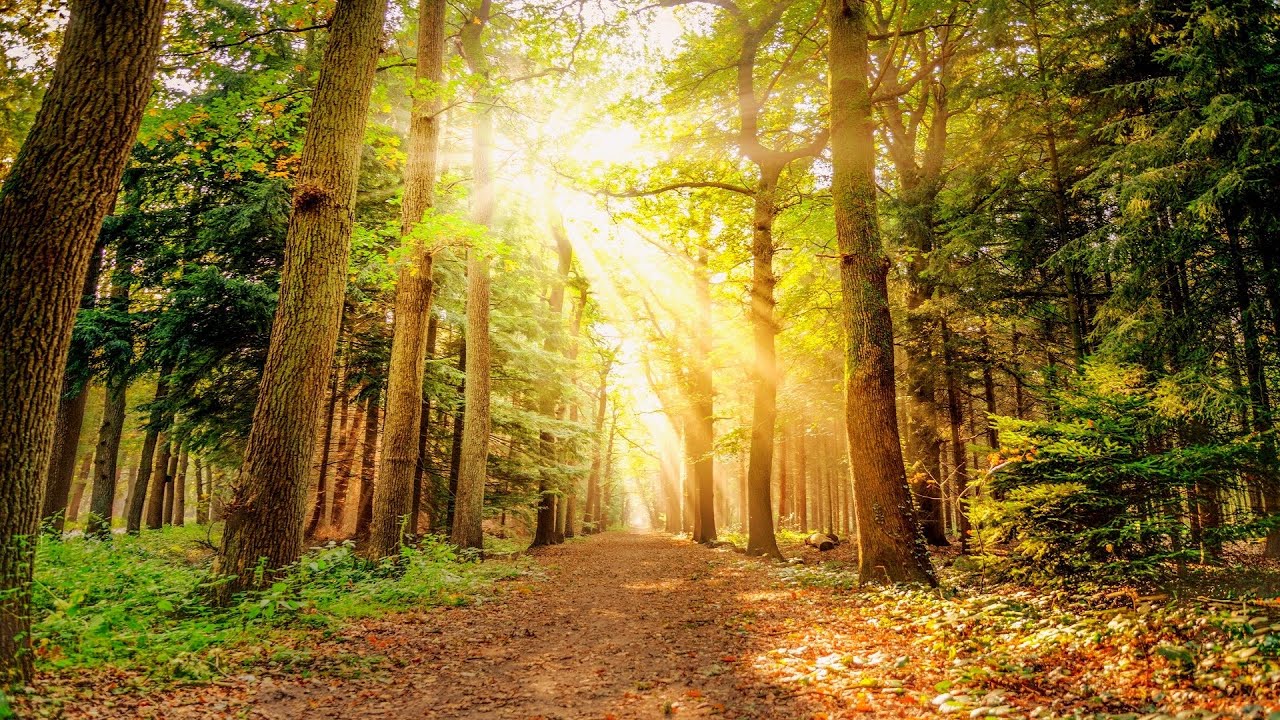 Active piano music for study, relaxing music, soothing music, beautiful ambience, ambient music