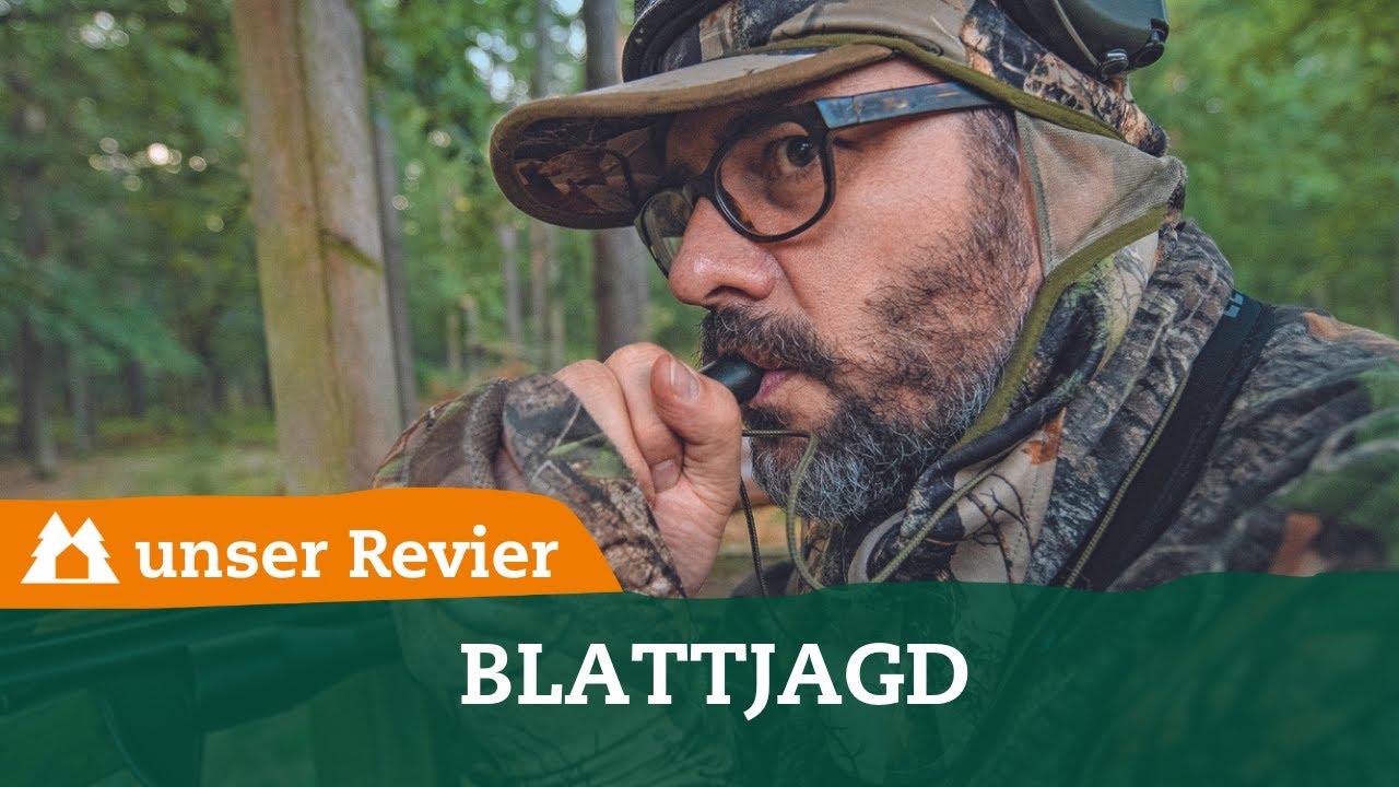 Blattjagd im unsere Jagd-Testrevier | unser Revier | Rehbockjagd in der Blattzeit I #2