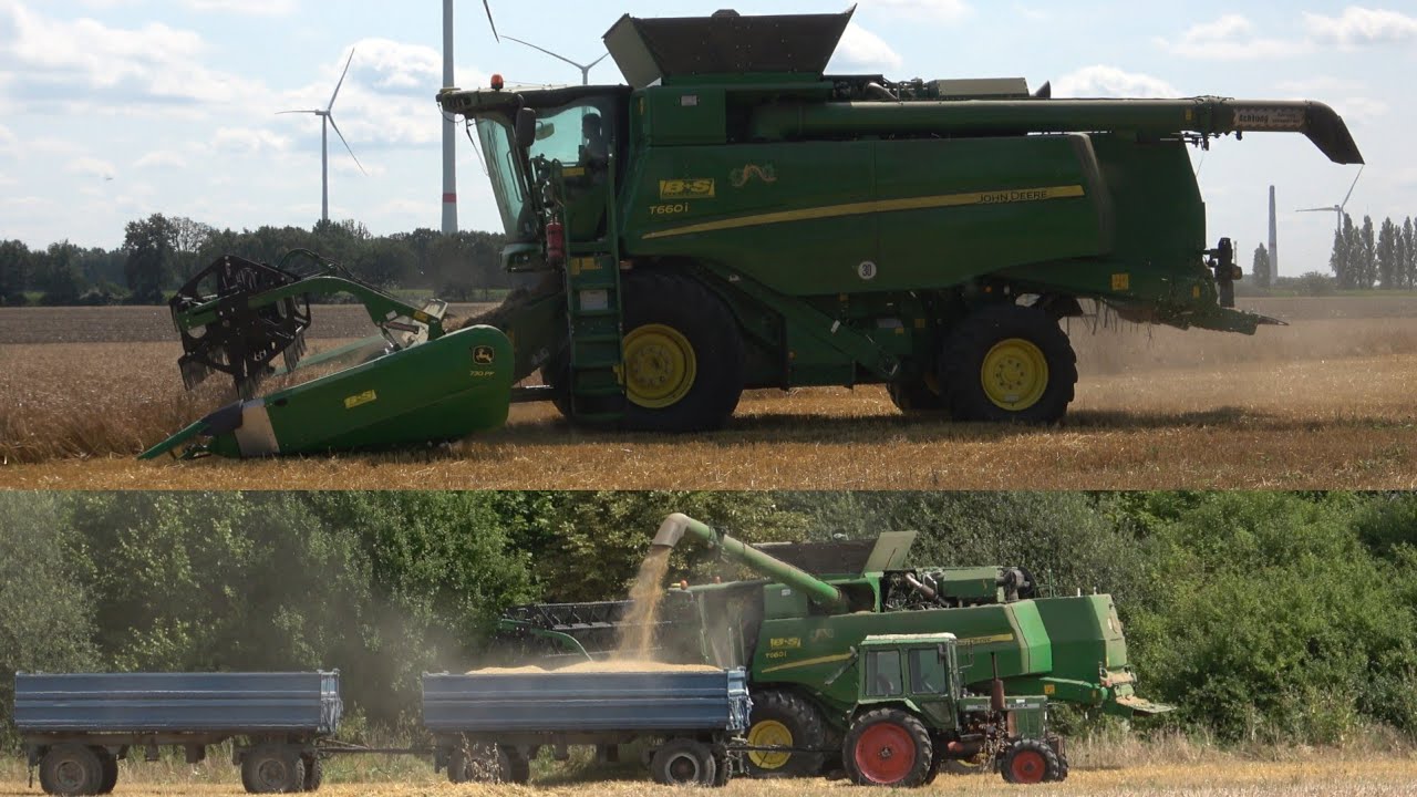 JOHN DEERE T660i am Braugerste dreschen & BELARUS 800 A  / Ernte 2024 / SOUND / 4K