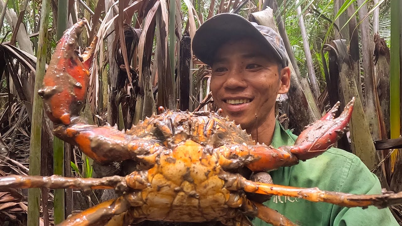 Vào Rừng Trả Lễ Được Thần Linh Theo Độ Bắt Toàn Cua To