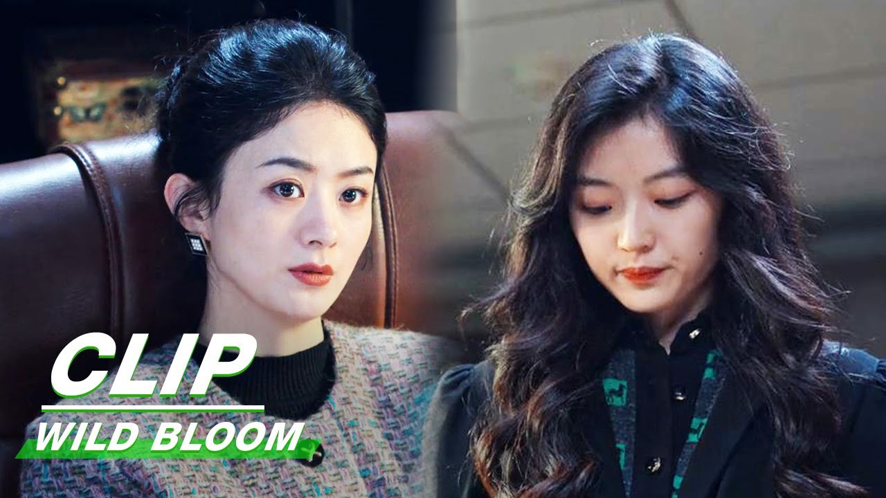 Banxia Files For Bankruptcy | Wild Bloom EP35 | 风吹半夏 | iQIYI