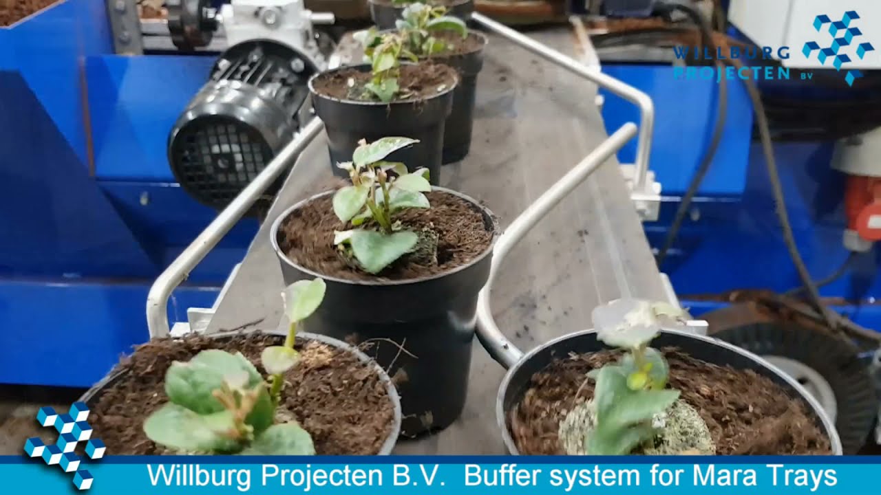 Willburg Projecten B.V. - Project Maarten Bloemen 2019