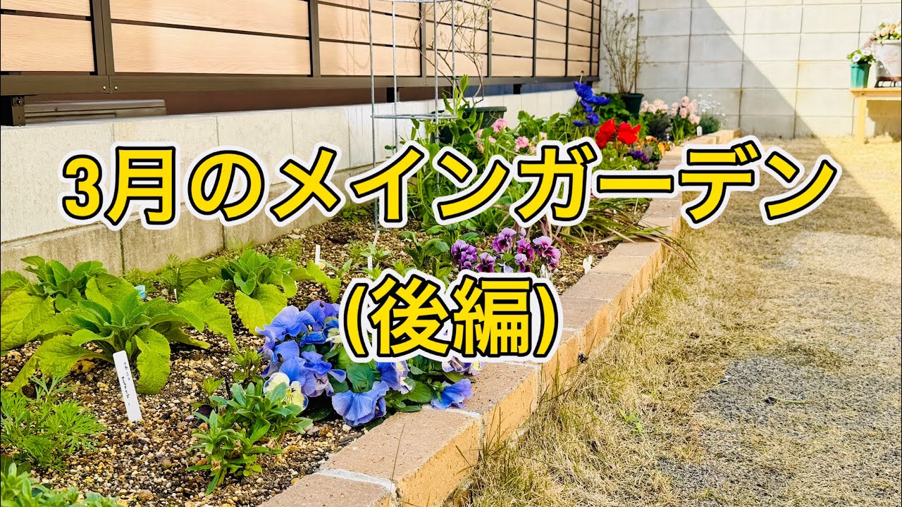 3月｜春目前のメインガーデンを全部見せます【後編】