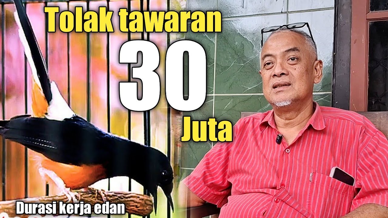 MURAI SEPERTI INI DURASI KERJA SUDAH PASTI TOP ‼️
