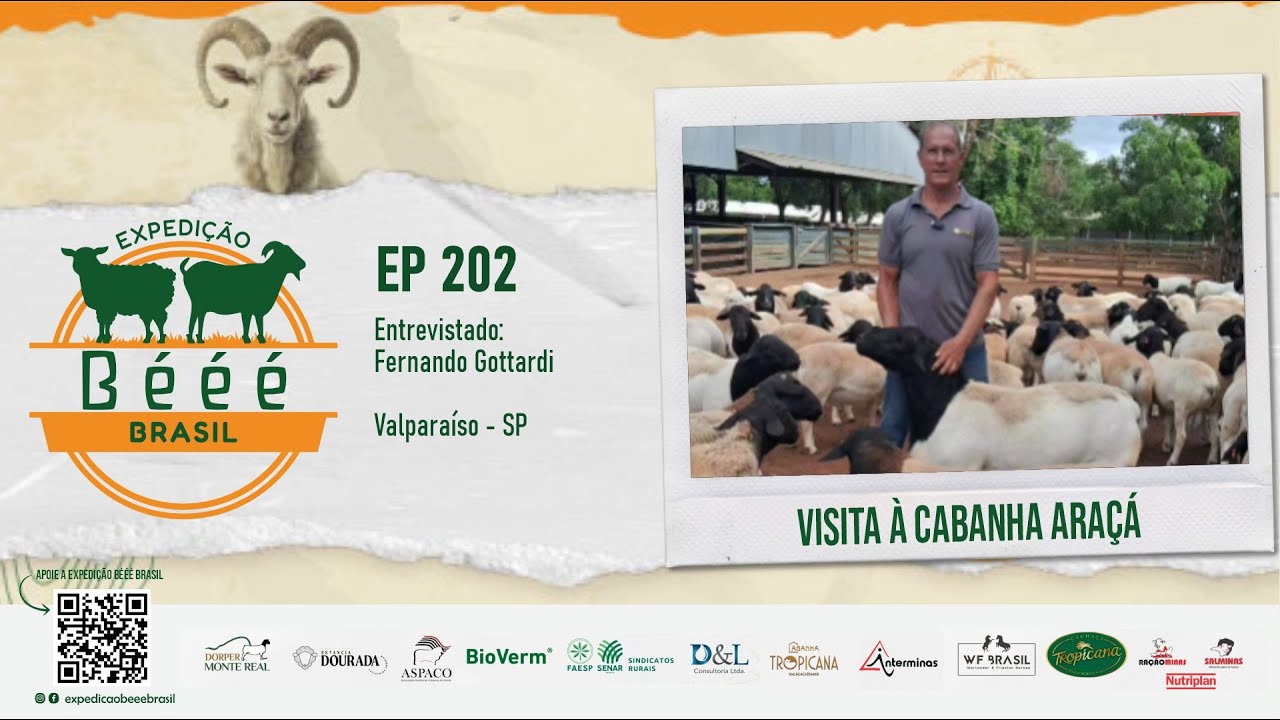 EXPEDIÇÃO BÉÉÉ BRASIL EP 202 - VISITA À CABANHA ARAÇÁ