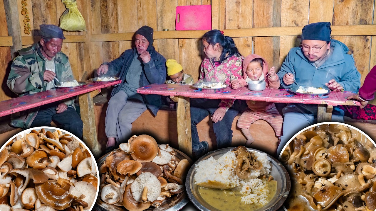 Рецепт блюд из лесных грибов с приготовлением и употреблением риса || Непальский рецепт чау || Но...