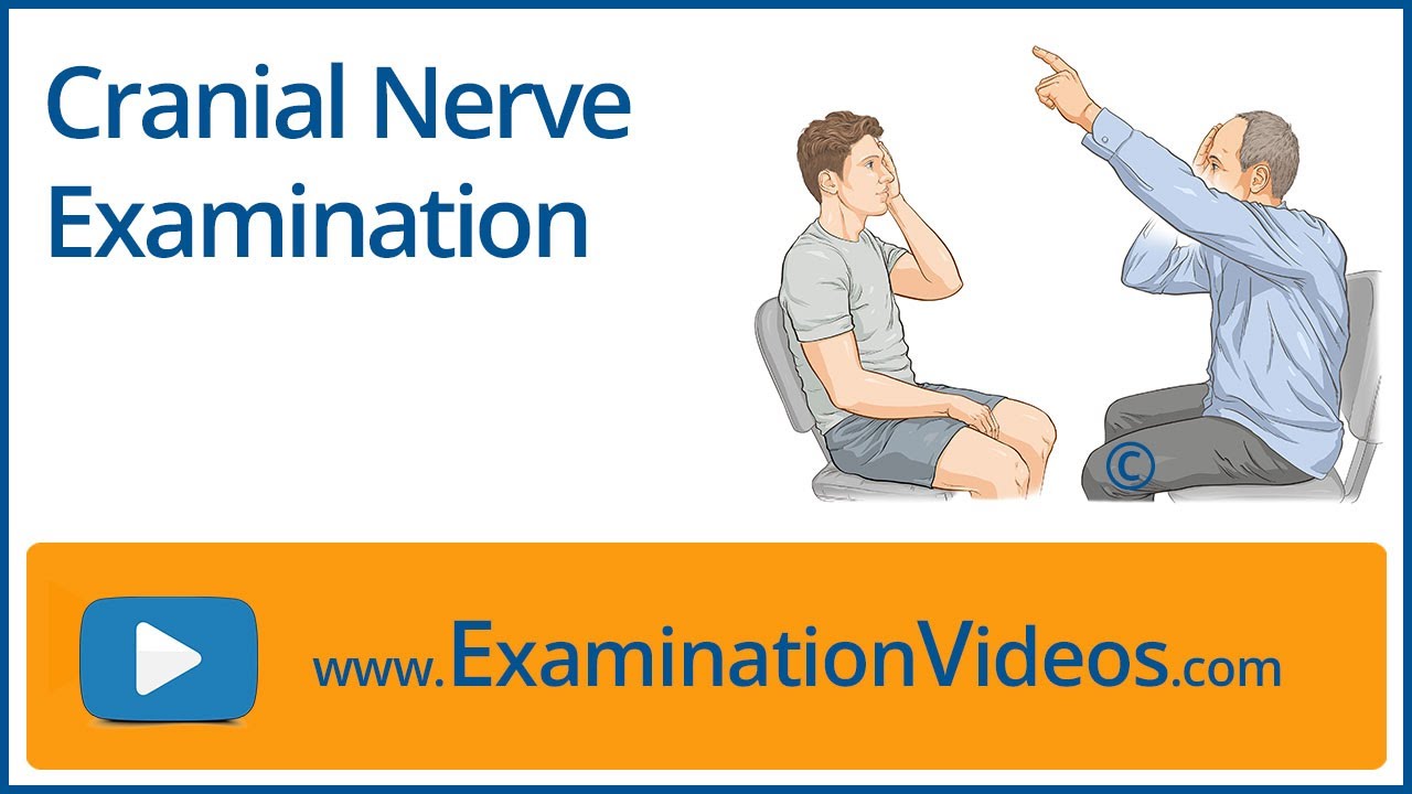 Cranial Nerve Examination