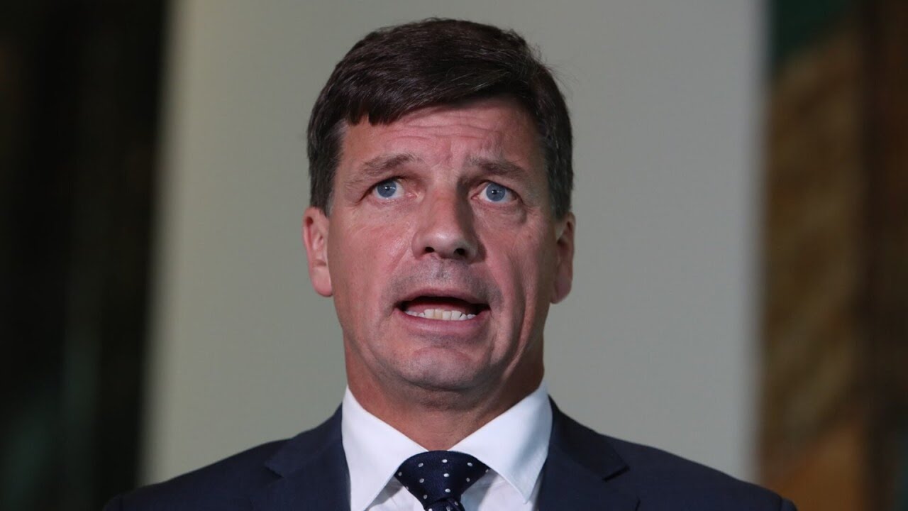 ‘Let’s see how many weeks they last’: Angus Taylor’s new frontbench under scrutiny