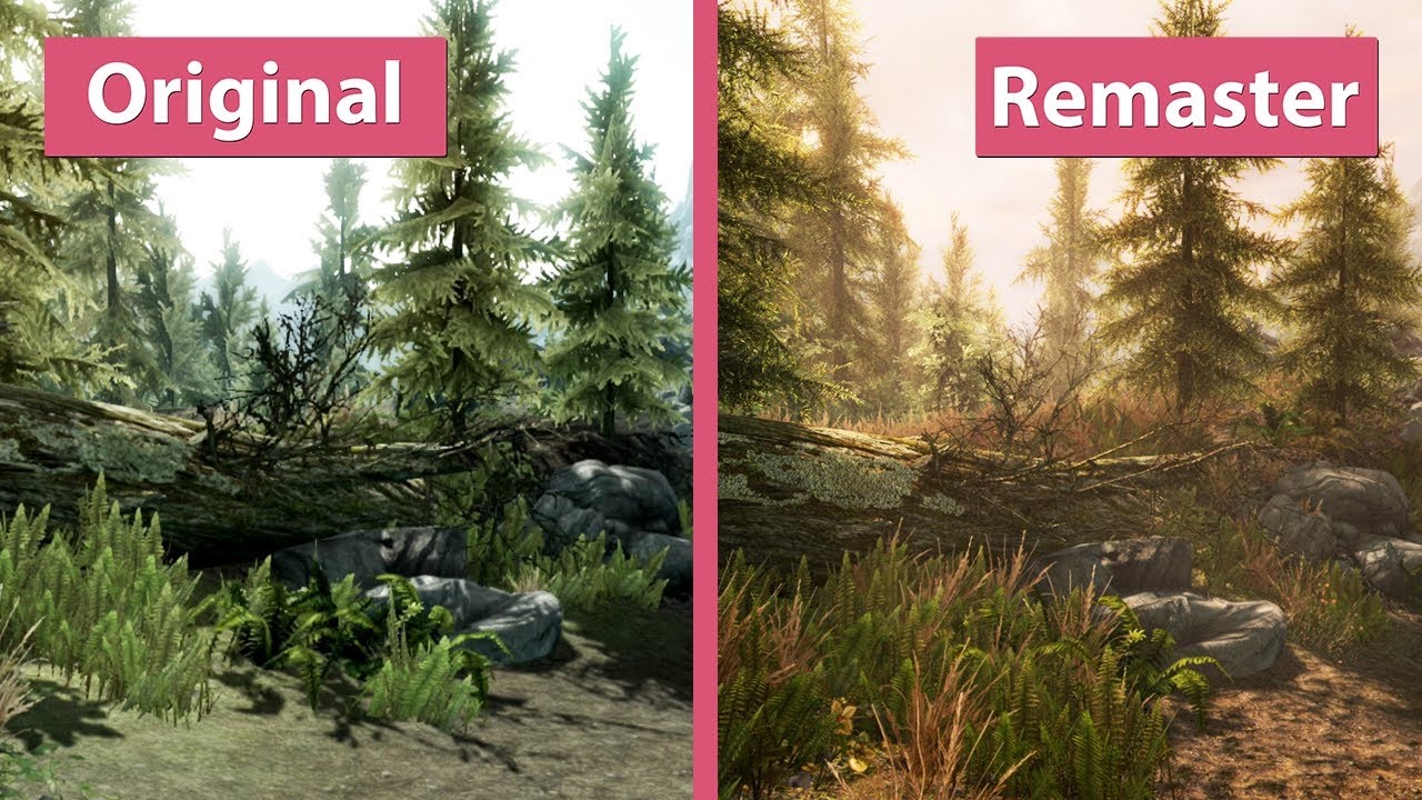 The Elder Scrolls V: Skyrim Special Edition ITA - MicioGatto! Grafica Ultra e Mod Ufficiali!