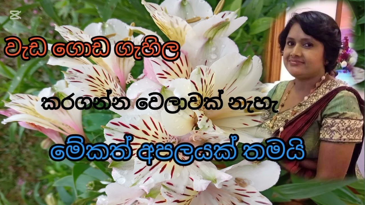  අපි නොහිතන විදිහට අපේ බැඳීම් ඈතට යන්නෙ මෙහෙමයි..........