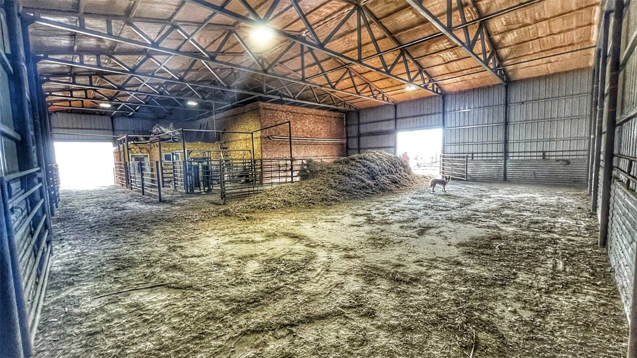 Ready for Intensive Calving