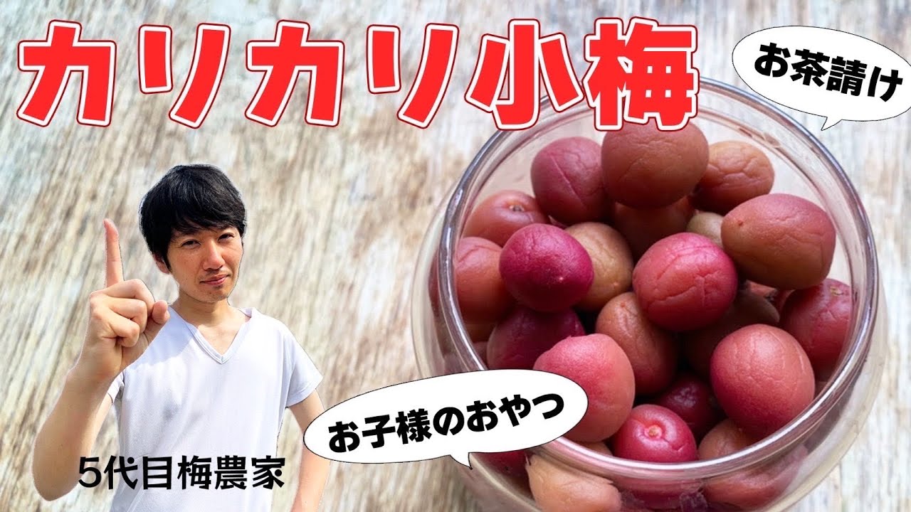【おつまみに最高】梅農家がおすすめ！小梅のカリカリ！