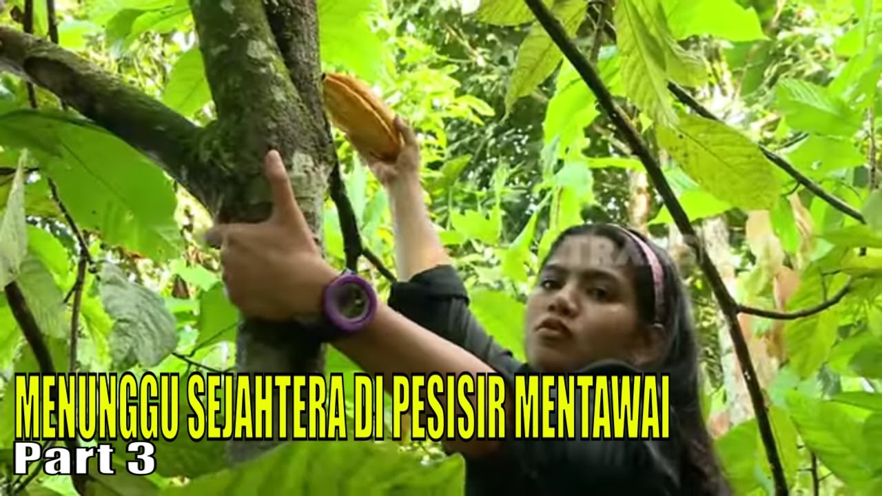 MENUNGGU SEJAHTERA DI PESISIR MENTAWAI | INDONESIAKU (15/05/23) Part 3