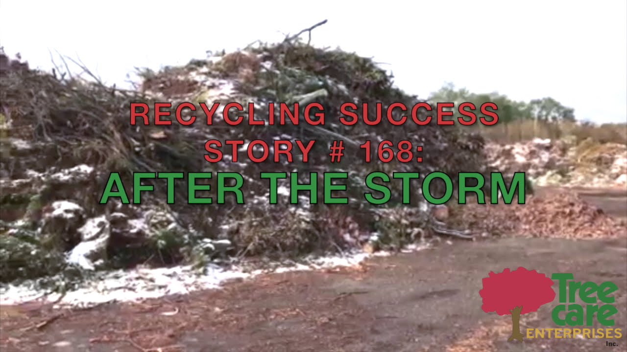 Tree Care Enterprises Mulch Making   HD 720p