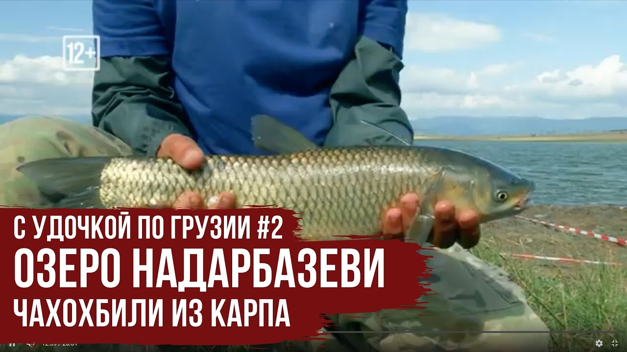 Озеро Надарбазеви \ Чахохбили из КАРПА \ С удочкой по Грузии #2.2